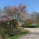 Ferienhaus In Einem Park Nahe Der Oosterschelde