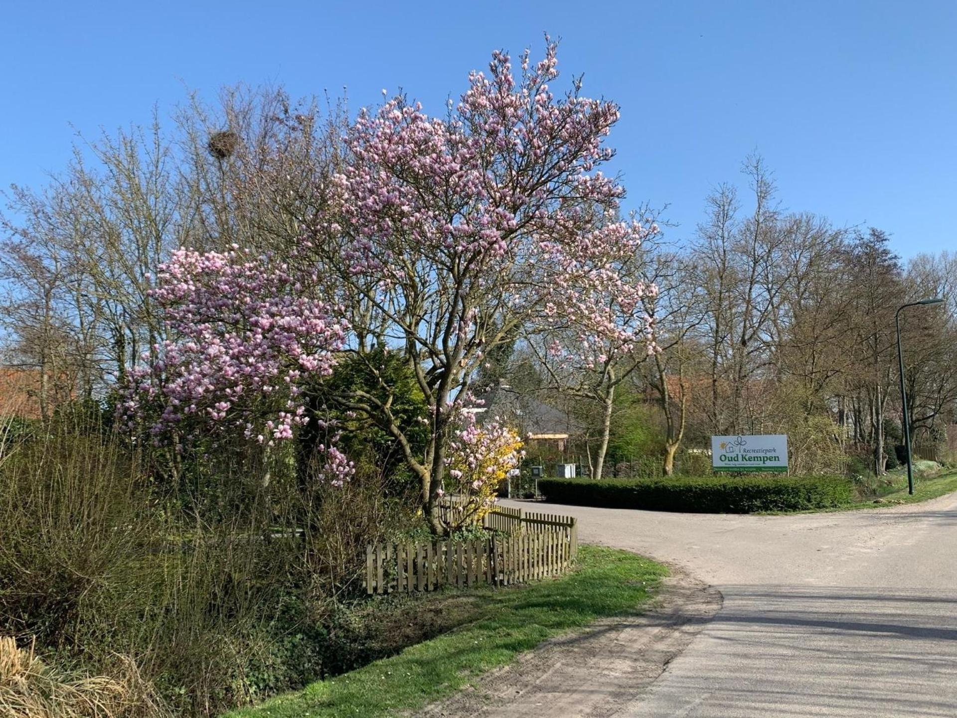 In Einem Park Nahe Der Oosterschelde Vakantiehuis *